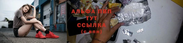ПСИЛОЦИБИНОВЫЕ ГРИБЫ Краснослободск
