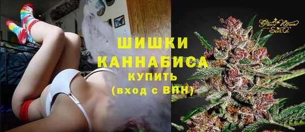 ПСИЛОЦИБИНОВЫЕ ГРИБЫ Краснослободск