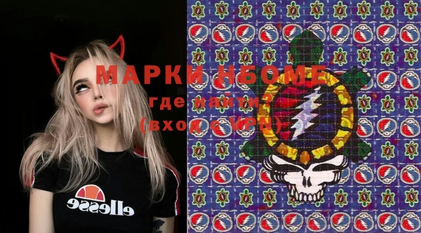 ПСИЛОЦИБИНОВЫЕ ГРИБЫ Краснослободск