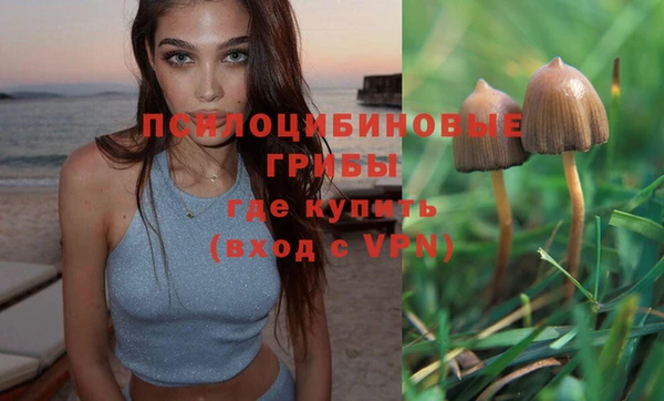 MDMA Premium VHQ Ессентукская