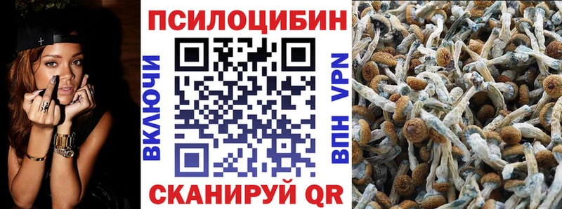 Галлюциногенные грибы ЛСД  Купить  Лесозаводск 